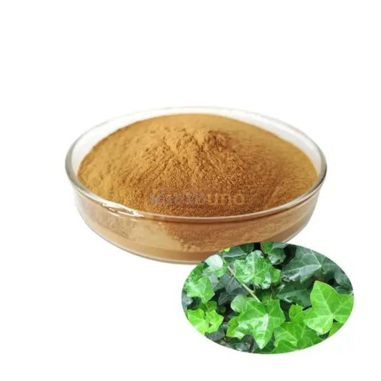 Ivy Leaf Extract Powder - other