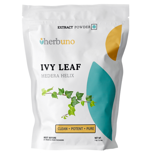 Ivy Leaf Extract Powder - Herbuno
