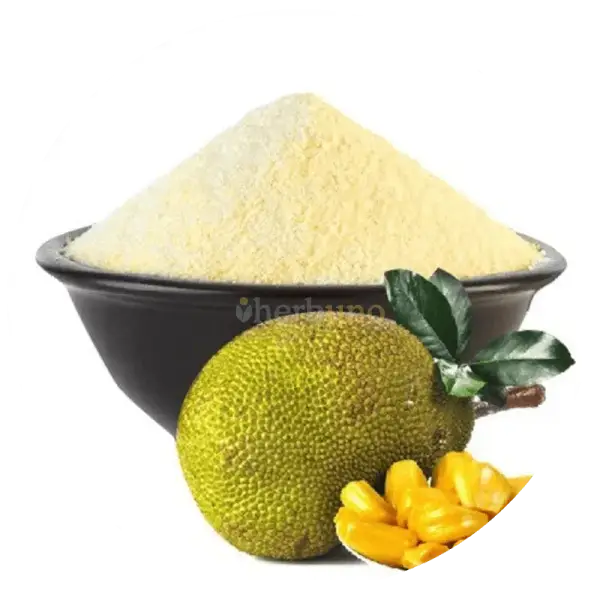 Jackfruit (Ripe) Powder – Artocarpus heterophyllus - other