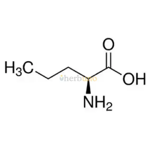 L-Norvaline Powder - Herbuno