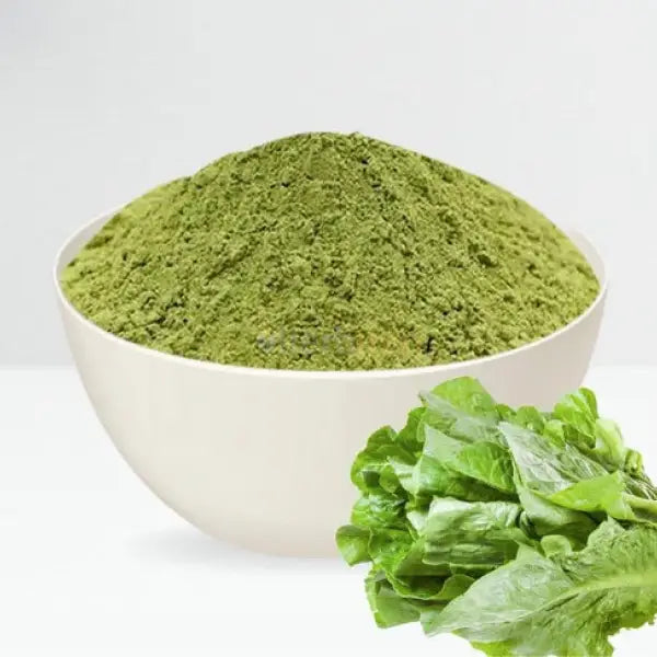 Lettuce Powder - Lactuca sativa - vegetable powder