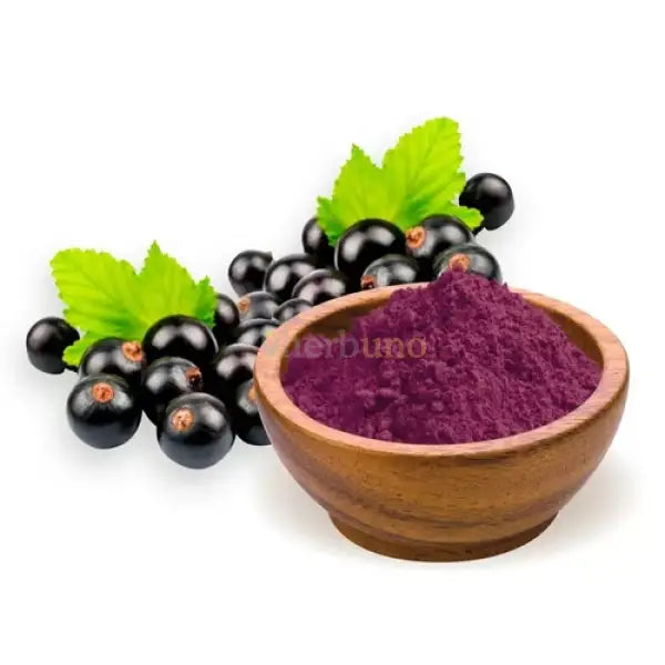 Maqui Berry Extract Powder - other