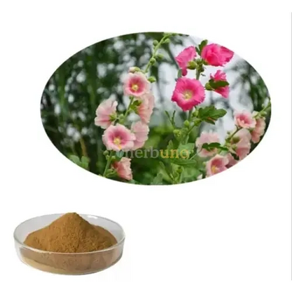 Marshmallow Extract Powder - Herbuno