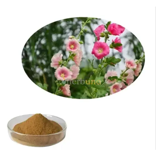 Marshmallow Extract Powder - Herbuno