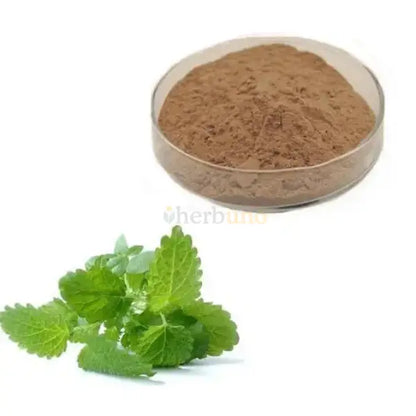 Melissa officinalis (Lemon Balm) Leaf Extract Powder - other