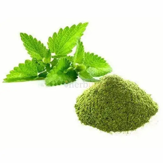 Mentha × piperita (Peppermint) Extract Powder - other