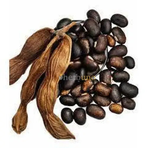 Mucuna Pruriens Extract Powder 15% L-DOPA - Herbuno