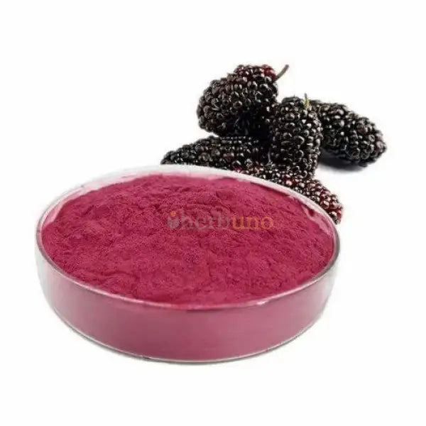 Mulberry Powder – Morus alba - other