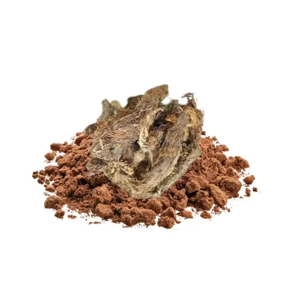 Nardostachys Jatamansi Extract Powder - other