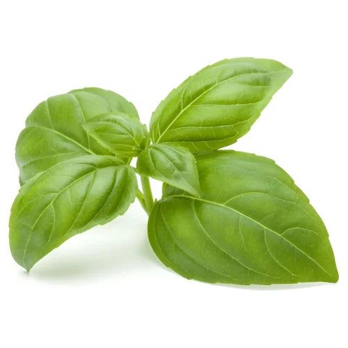 Niacin (3.6%) — from Basil Leaf - Herbuno