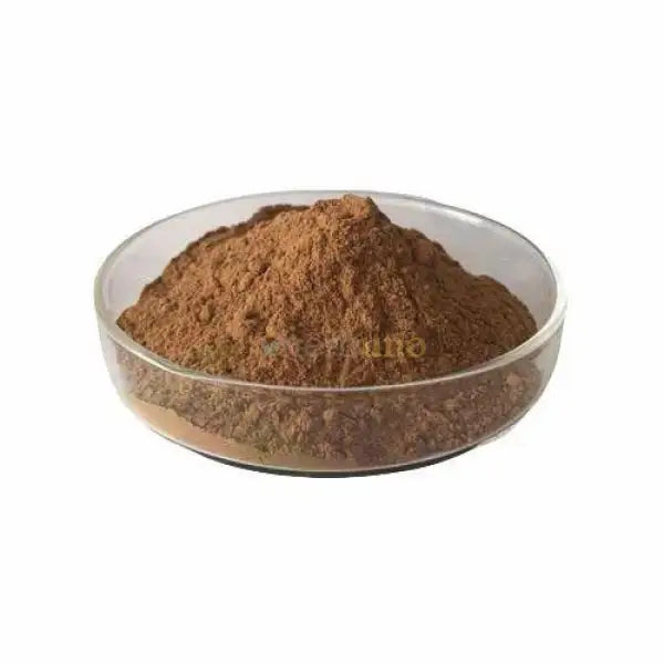 Oenothera biennis (Evening Primrose) Extract Powder - other