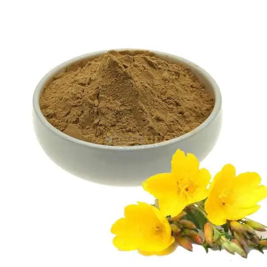 Oenothera biennis (Evening Primrose) Extract Powder - other