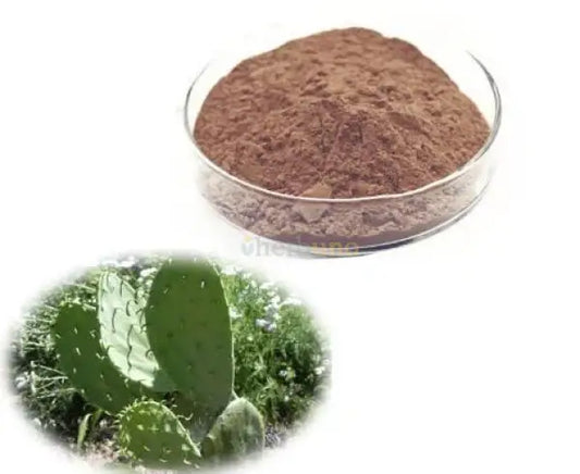 Opuntia Ficus-Indica (Prickly Pear) Extract Powder - other