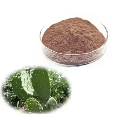 Opuntia Ficus-Indica (Prickly Pear) Extract Powder - Herbuno