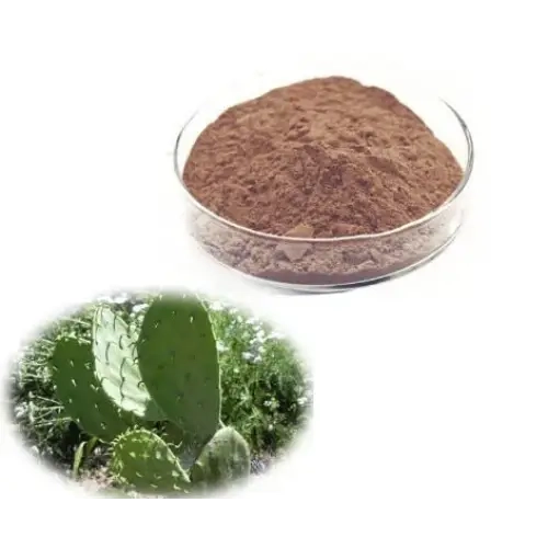 Opuntia Ficus-Indica (Prickly Pear) Extract Powder - Herbuno