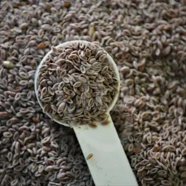 Psyllium (Ispaghula) Seed Husk Powder - Herbuno