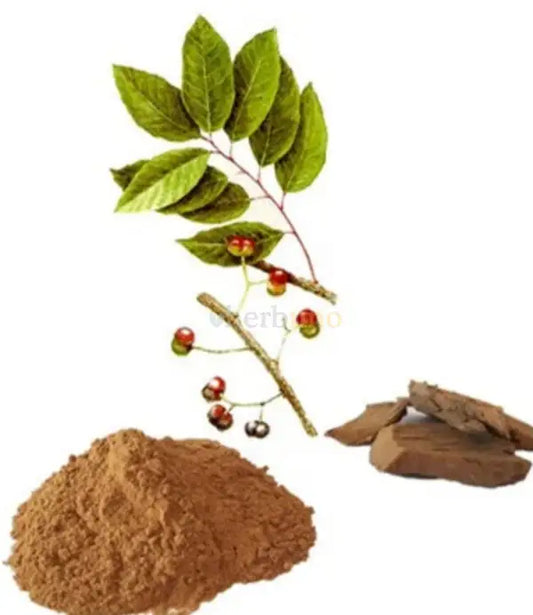 Pygeum Africanum Extract Powder - other