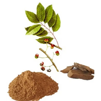 African Cherry Bark (Pygeum Africanum) Extract Powder - Herbuno
