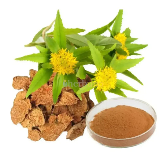 Rhodiola Rosea Extract Powder for Stress Support - Herbuno