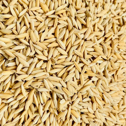 Rice Bran Extract Powder - Herbuno