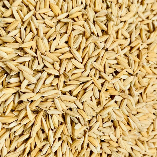 Rice Bran Extract Powder - Herbuno