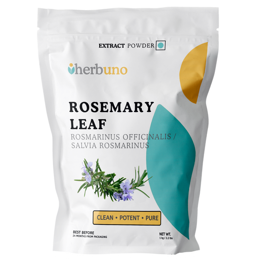 Rosemary Leaf Extract Powder for Hair Health - Herbuno