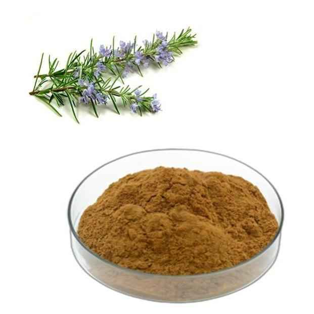Organic Rosemary (Rosmarinus officinalis) Leaf Powder - Herbuno.Com