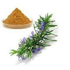 Organic Rosemary (Rosmarinus officinalis) Leaf Powder - Herbuno.Com
