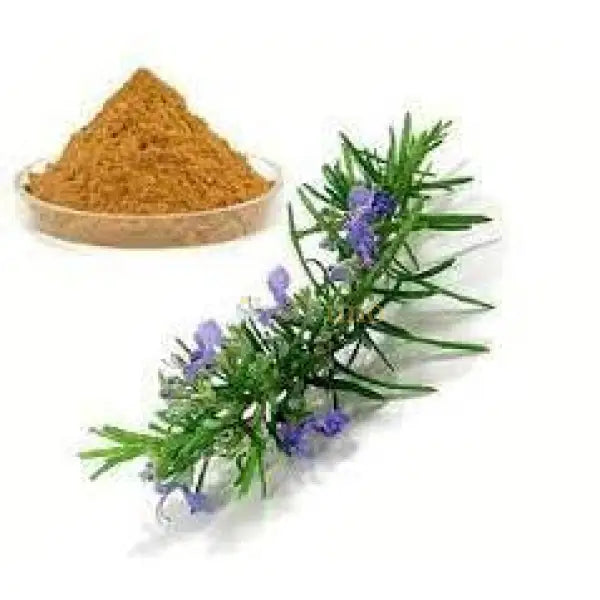 Rosmarinus officinalis (Rosemary) Leaves Extract Powder - other