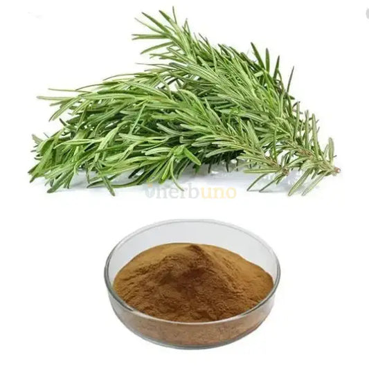 Rosmarinus officinalis (Rosemary) Leaves Extract Powder - other