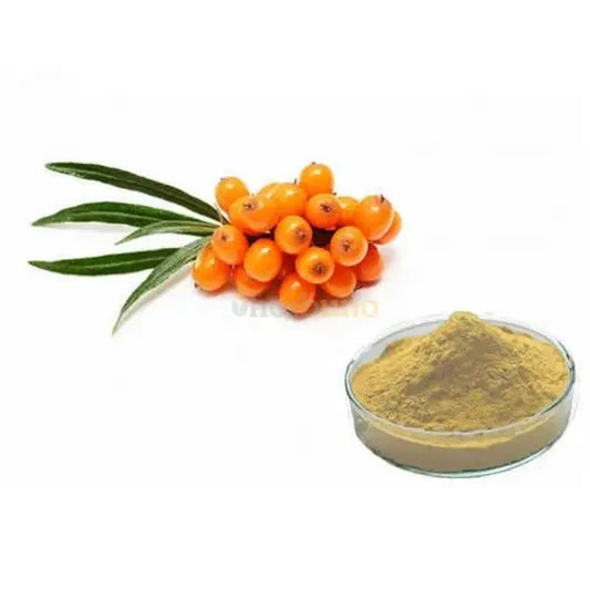 Seabuckthorn Extract Powder (Hippophae rhamnoides) - other