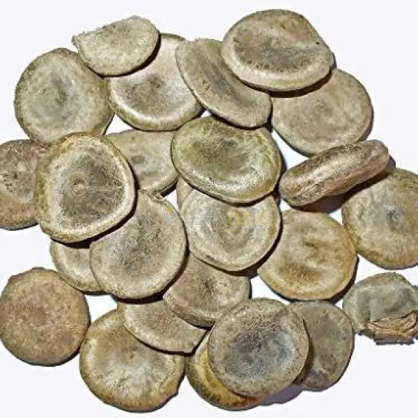 Shudh Kuchla Extract Powder (Strychnos nux-vomica detoxified) - other