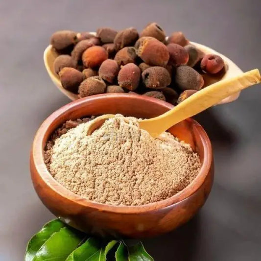 Soapnut Extract Powder (Sapindus mukorossi) - other