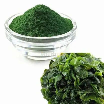 Spirulina Platensis Extract Powder (Arthrospira platensis) - other