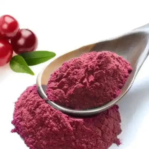 Spray Dried Cranberry Powder  - Bulk Supplier India  - shop_name