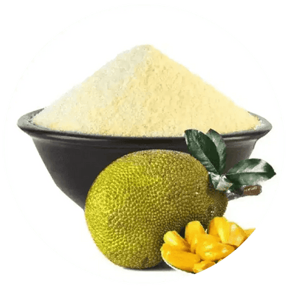 Spray Dried Jackfruit Powder Ripe - Artocarpus heterophyllus | Kathal Powder  - Bulk Supplier India  - shop_name