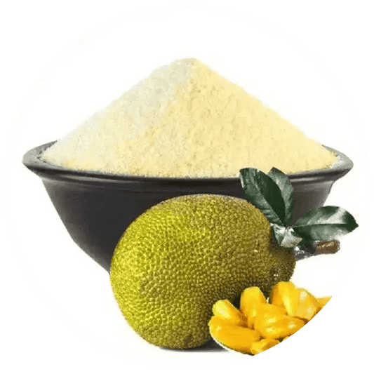 Spray Dried Jackfruit Powder Ripe - Artocarpus heterophyllus | Kathal Powder  - Bulk Supplier India  - shop_name