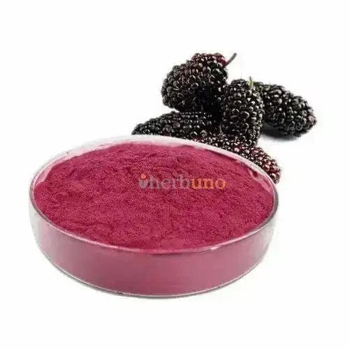 Spray Dried Mulberry Powder – Nutrient-Dense Sweetener | Shahtoot Powder  - Bulk Supplier India  - shop_name