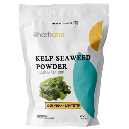 Spray Dried Organic Kelp Seaweed Powder - Laminaria spp.  - Bulk Supplier India  - shop_name
