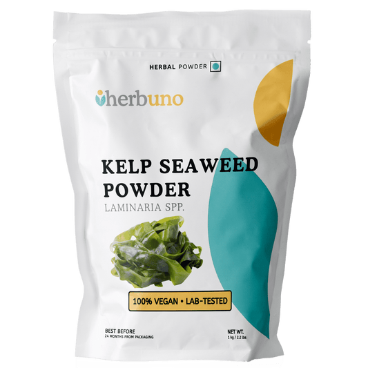 Spray Dried Organic Kelp Seaweed Powder - Laminaria spp.  - Bulk Supplier India  - shop_name
