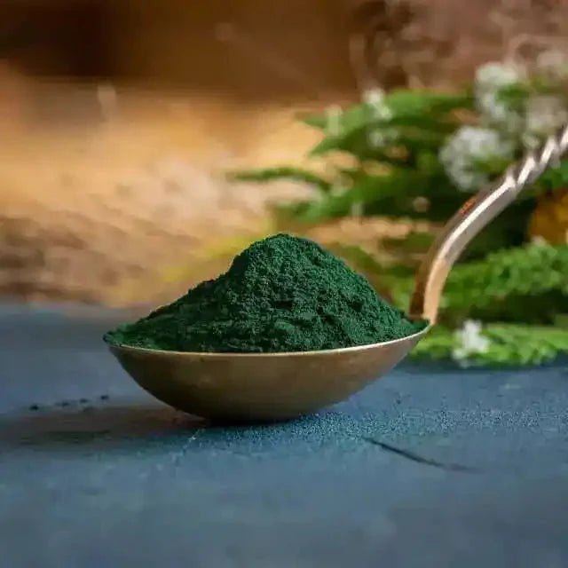 Spray Dried Organic Spirulina (Arthrospira platensis) Powder - Bulk Supplier India
