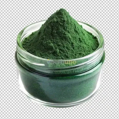 Spray Dried Spirulina Powder - Arthrospira platensis - Bulk Supplier India