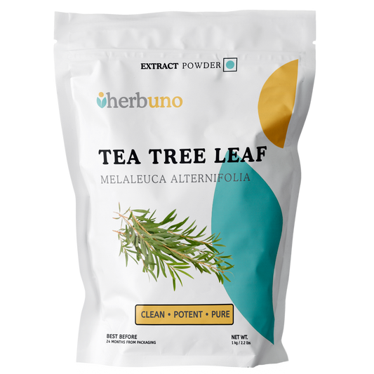 Tea Tree Extract Powder for Oral Care - Herbuno