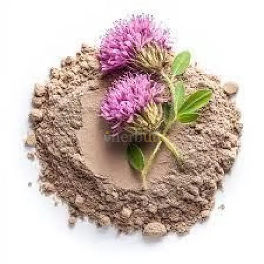 Trifolium pratense (Red Clover) Extract Powder - other