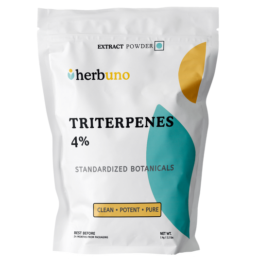Triterpenes 4% Powder (Reishi Extract) | Standardized Ganoderma lucidum