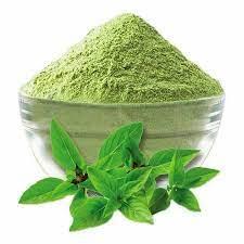 High-quality Tulsi Extract Powder, naturally caffeine-free and free-flowing, ideal for adding a peppery-sweet lift to various products