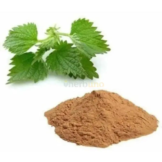 Urtica dioica (Nettle Root) Extract Powder - other