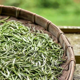 White Tea Extract Powder - Herbuno